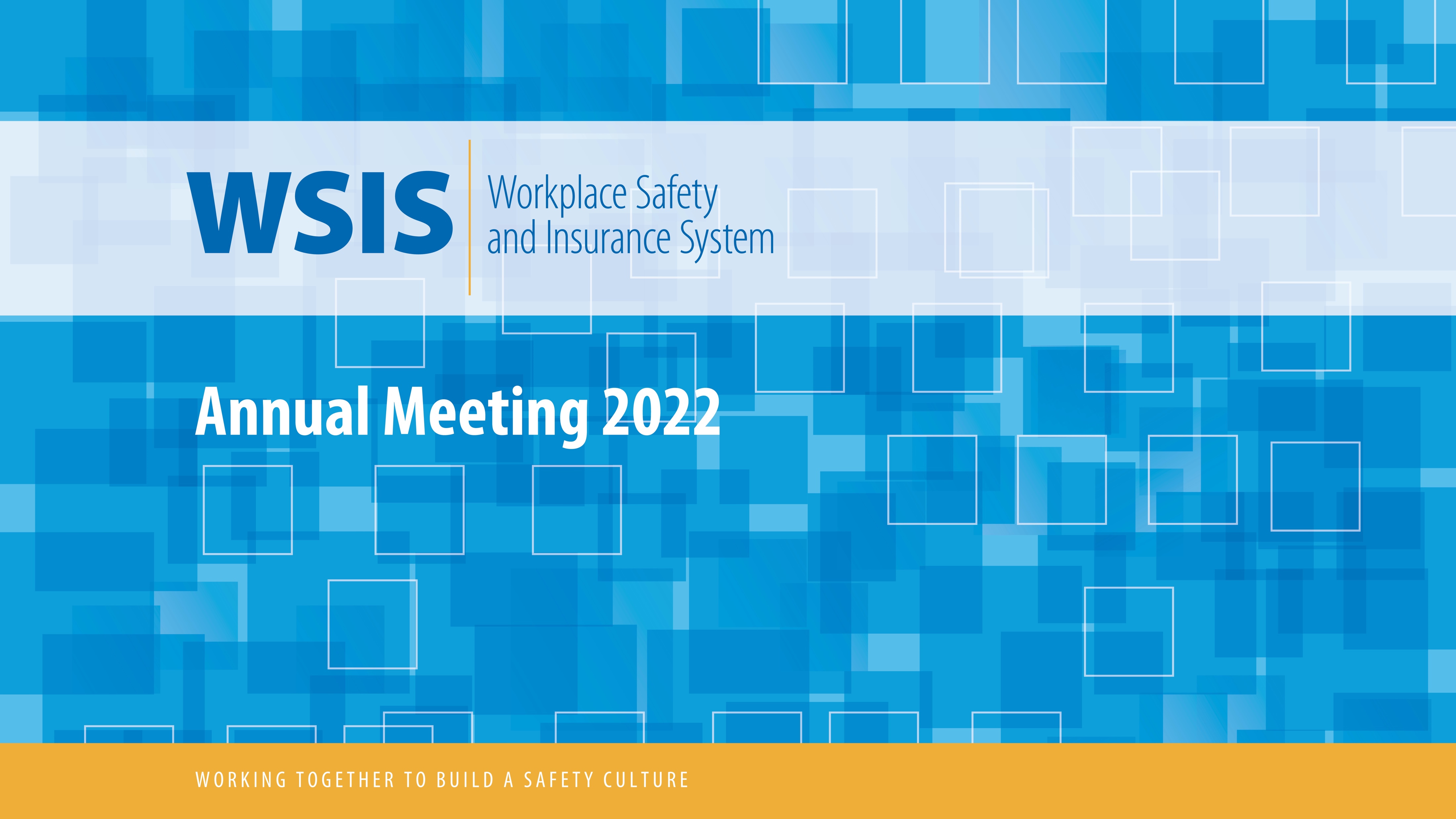 2022 WSIS Annual Meeting Presentation